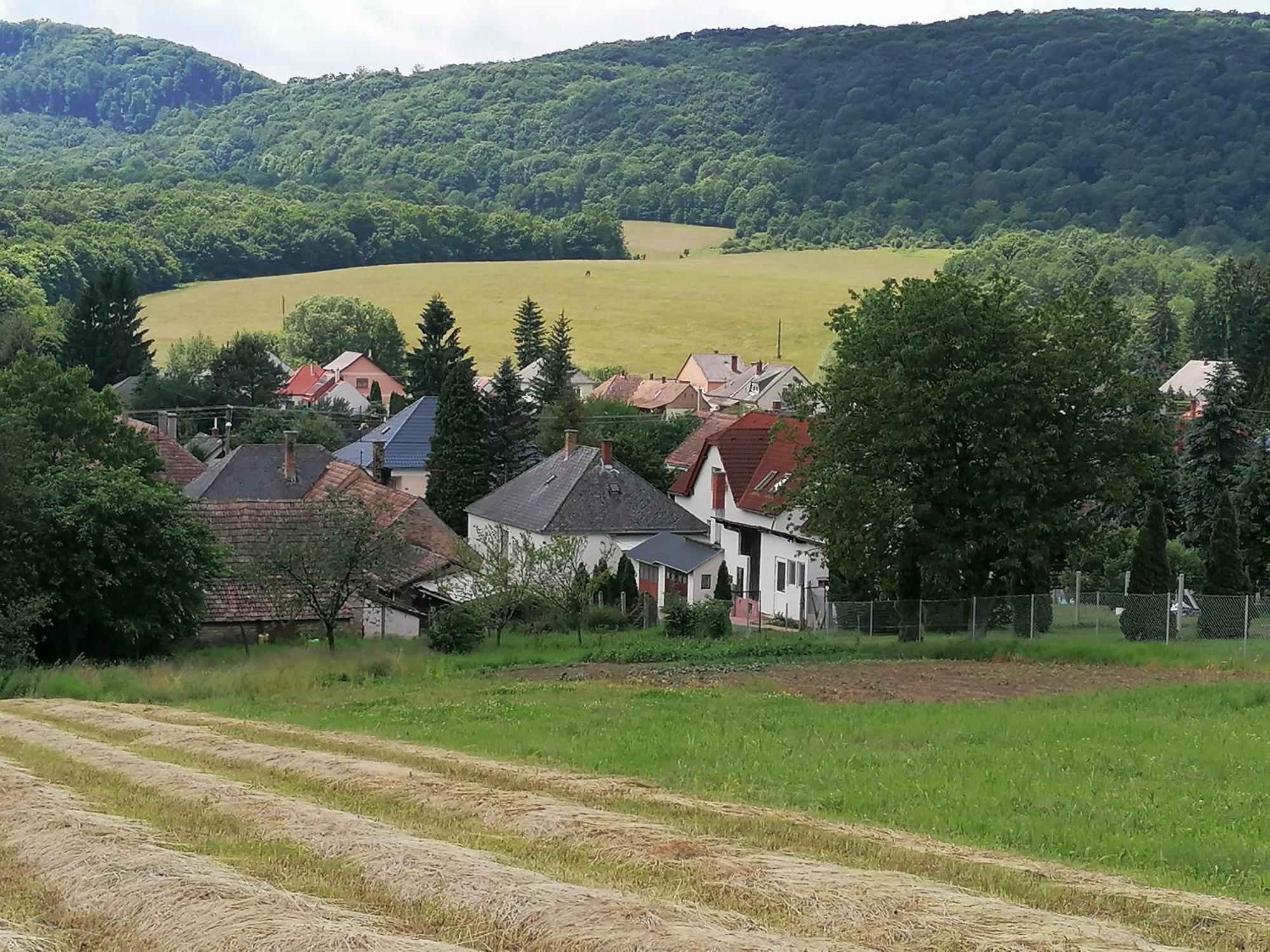 Borostyankut Wellness Home Баконьбель Экстерьер фото