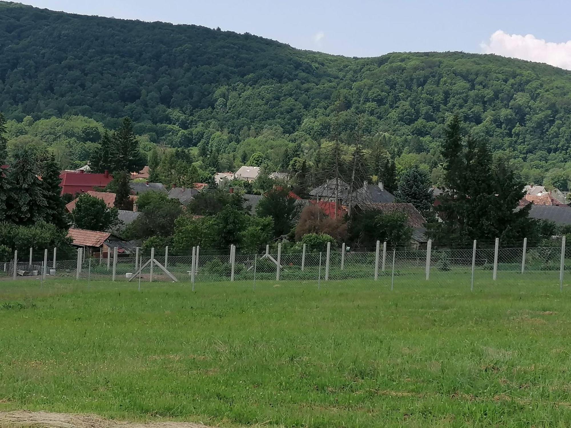 Borostyankut Wellness Home Баконьбель Экстерьер фото