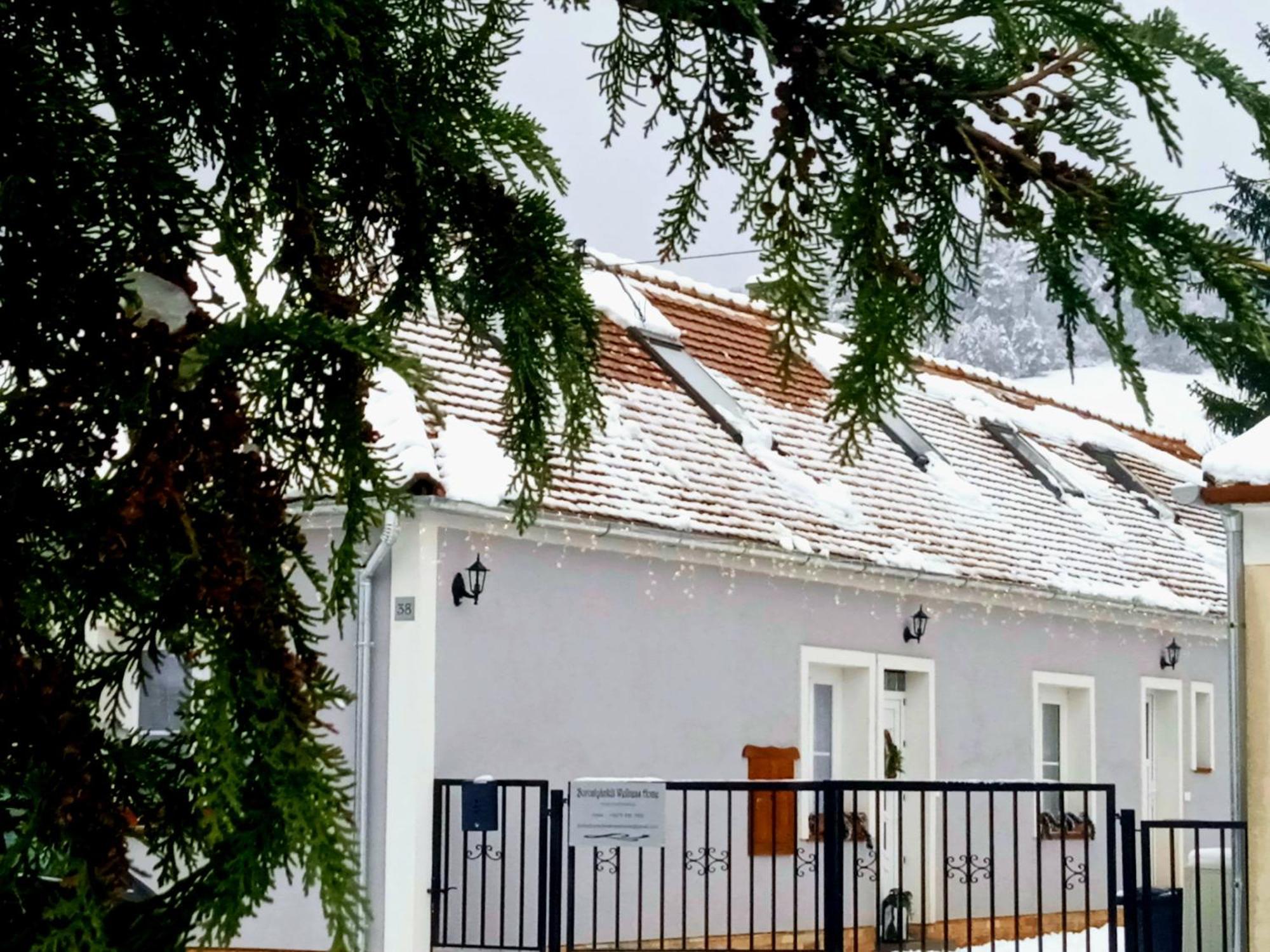 Borostyankut Wellness Home Баконьбель Экстерьер фото